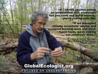 David William Fischer